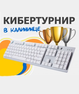 Киберспортивный турнир ко дню п.Калининец